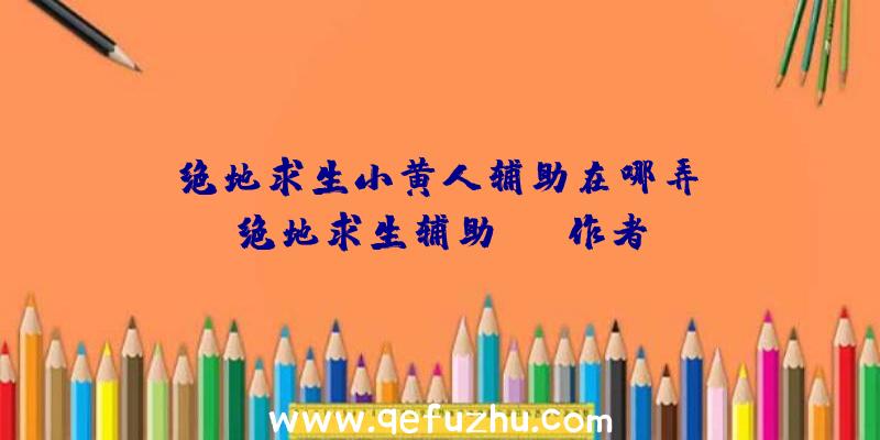 「绝地求生小黄人辅助在哪弄」|绝地求生辅助rap作者
